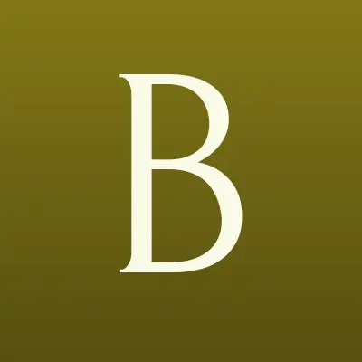 БОНУС-СОФТ, лого-визитка
