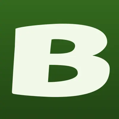 Bass fishing, магазин товаров для рыбалки и сварки, лого-визитка