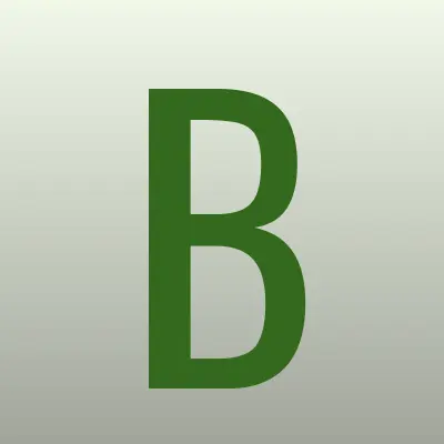 Блеск, клининговая компания, лого-визитка