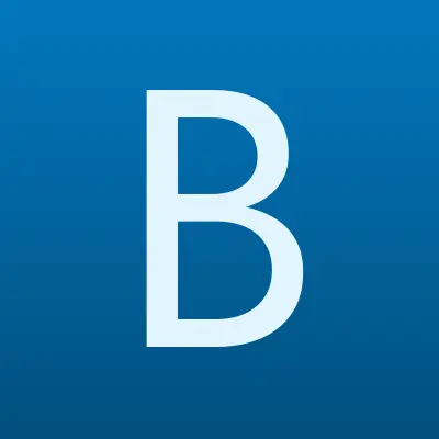 Боевое Братство, Всероссийская общественная организация ветеранов, лого-визитка