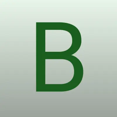 Bravo kids, интернет-магазин детских колясок, лого-визитка