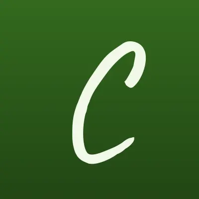 Confetti, студия декора, лого-визитка