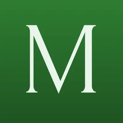 Магазин стильных сумок, лого-визитка