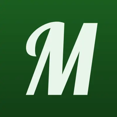 Мойбери, автомоечный комплекс, лого-визитка