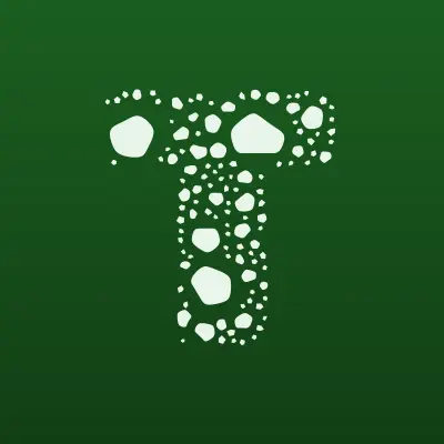 Toning_026, студия тонирования и бронирования автомобилей, лого-визитка